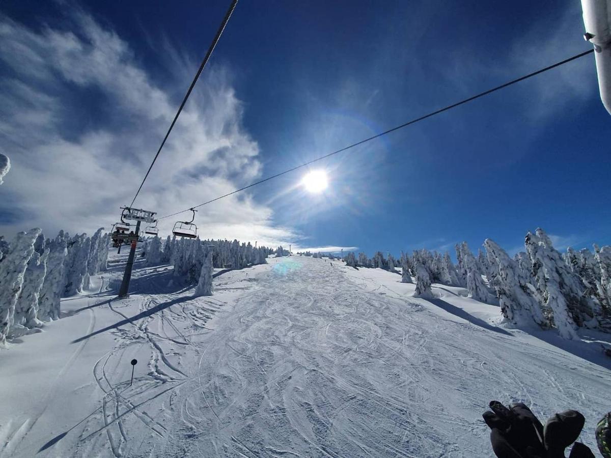 Milmari Resort - Apartman L43 Kopaonik Dış mekan fotoğraf