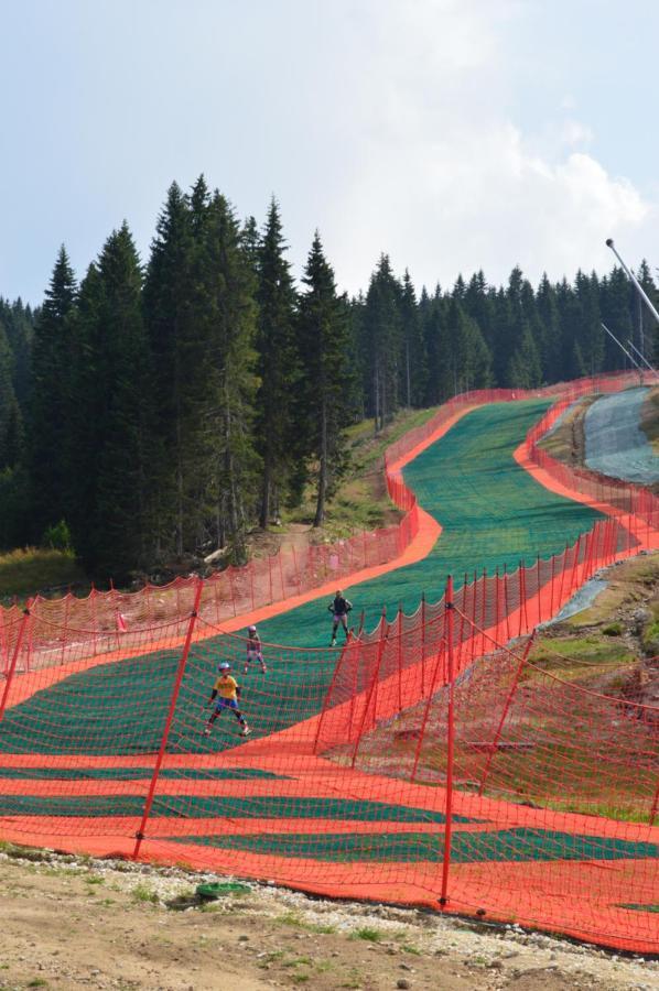 Milmari Resort - Apartman L43 Kopaonik Dış mekan fotoğraf